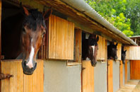 free Guineaford stable construction quotes